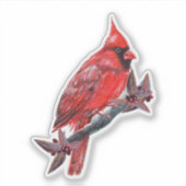 Red cardinal bird sticker Renee Lavoie (Voorkant)