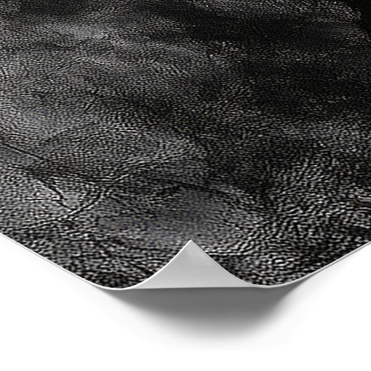 Red Cardinal Bird - Zen Ink Wash Wall Poster (Hoek)