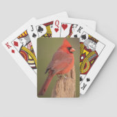 Red Cardinal Pokerkaarten (Achterkant)