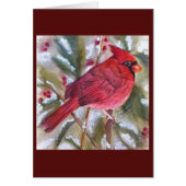 RED CARDINAL SPECIAL (Voorkant)