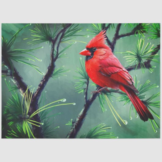 Red Cardinal Tissue Paper Tissuepapier (Voorkant)