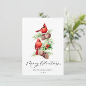 Red Cardinals Holly Berry kerstgroet Feestdagenkaart (Staand voorkant)