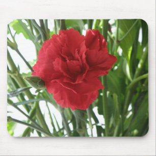 Red Carnan Mousepad Muismat