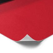 Red Carpet Celebrity Limo Poster (Hoek)