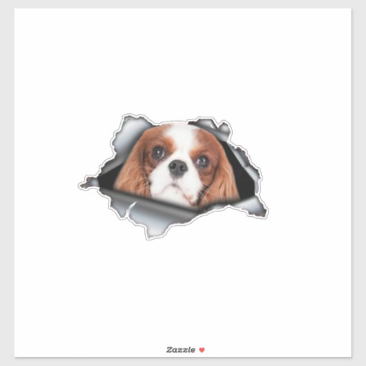 Red Cavalier King car decal, Red Cavalier King Sticker (Vel)