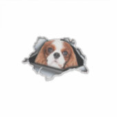 Red Cavalier King car decal, Red Cavalier King Sticker (Voorkant)