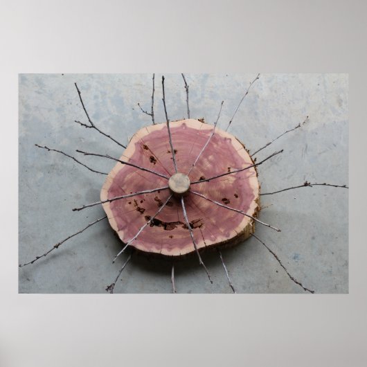 Red Cedar Natuurlijke Eco-Art Sculptuur Gecentreer Poster (Voorkant)