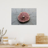 Red Cedar Natuurlijke Eco-Art Sculptuur Gecentreer Poster (Keuken)