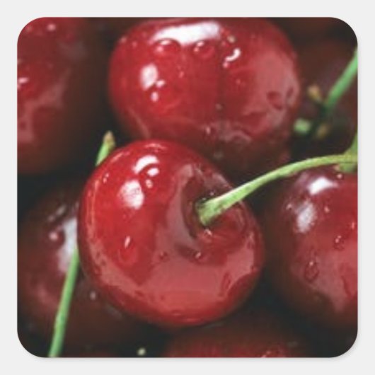 RED CHERRIES, SQUARE STICKERS (Voorkant)