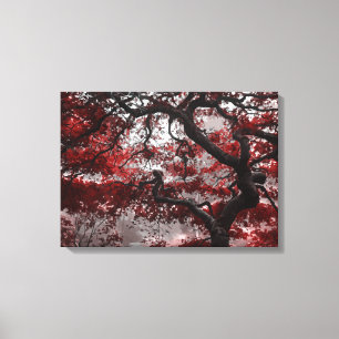 Red Cherry Blossom Tree Canvas Afdruk