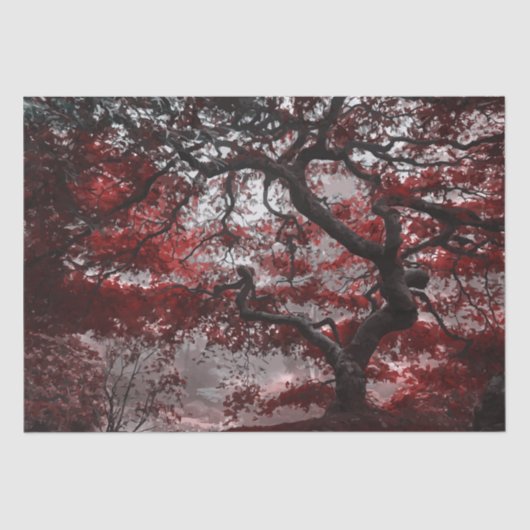 Red Cherry Blossom Tree Tissuepapier (Voorkant)