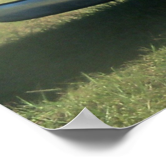 Red Chevrolet Country Pickup Truck Poster Foto (Hoek)