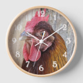 Red Chicken Hen Photo (Voorkant)