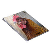 Red Chicken Hen Photo Notitieboek (Rechterzijde)