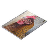 Red Chicken Hen Photo Notitieboek (Linkerzijde)