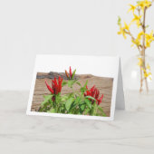 Red Chili Pepper Plant Kaart (Gele Bloem)