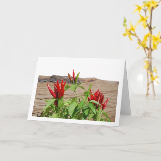 Red Chili Pepper Plant Kaart (Gele Bloem)