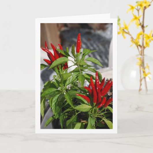 Red Chili Pepper Plant Kaart (Gele Bloem)