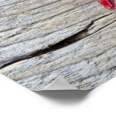 Red Chili Pepper Poster (Hoek)