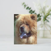 Red Chow Briefkaart (Staand voorkant)