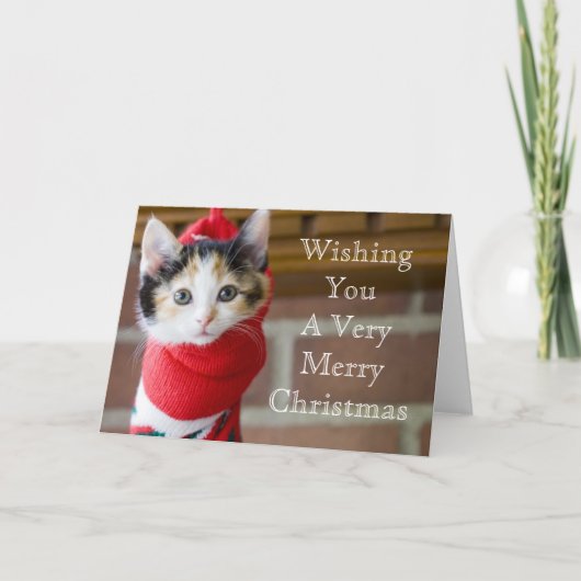 Red Christmas Kitten Feestdagen Kaart (Voorkant)