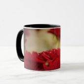 Red Chrysanthema Mok (Voorkant links)