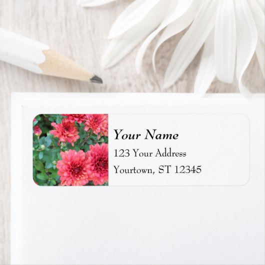 Red Chrysanthemum Blooms Etiket (Insitu)