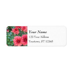 Red Chrysanthemum Blooms Etiket