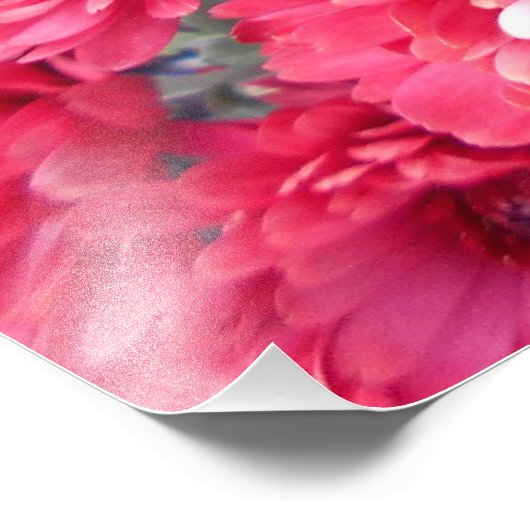 Red Chrysanthemum Flowers Foto Afdruk (Hoek)