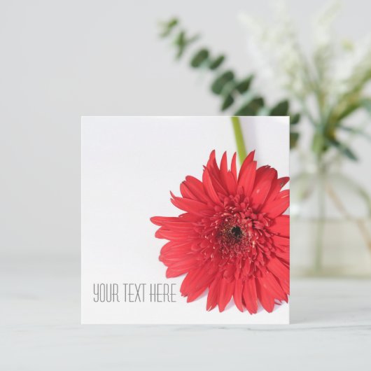 Red Chrysanthemum Jouw tekst Flat Kaart (Staand voorkant)