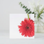 Red Chrysanthemum Jouw tekst Flat Kaart (Staand voorkant)