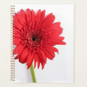 Red Chrysanthemum Petals Bloem Planner (Voorkant)