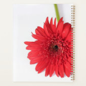 Red Chrysanthemum Petals Bloem Planner (Achterkant)