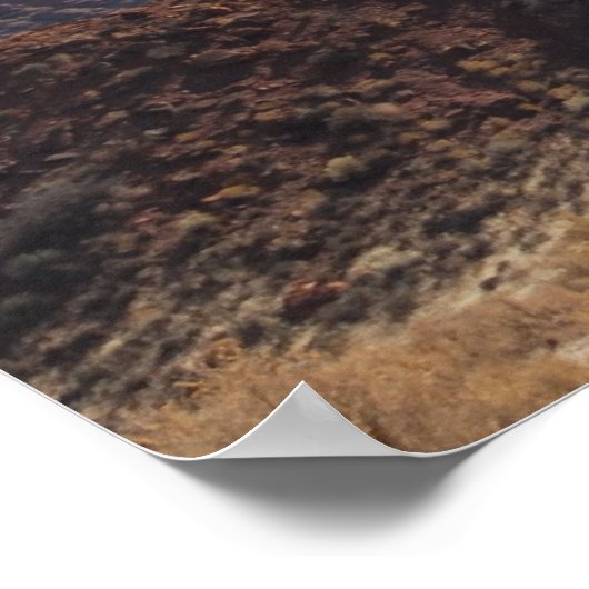 Red Cliffs Poster (Hoek)