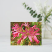 Red Clintonia Flowers in Redwood Briefkaart (Staand voorkant)