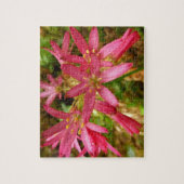 Red Clintonia Flowers in Redwood Legpuzzel (Verticaal)