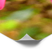 Red Clintonia Flowers in Redwood Poster (Hoek)