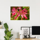 Red Clintonia Flowers in Redwood Poster (Thuiskantoor)