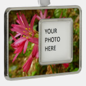 Red Clintonia Flowers in Redwood Verzilverd Omlijst Ornament (Rechts)