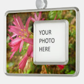 Red Clintonia Flowers in Redwood Verzilverd Omlijst Ornament (Links)
