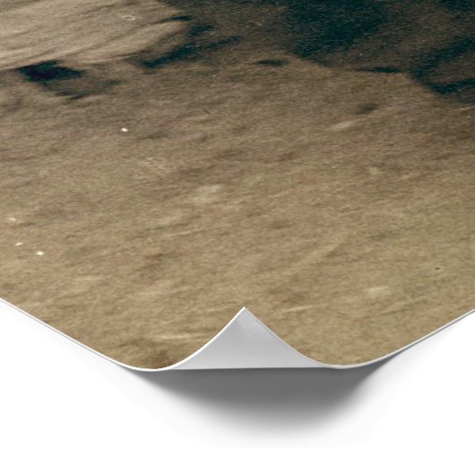 Red Cloud and American Horse - 1891 Poster (Hoek)