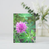 Red Clover Blossom 2 Briefkaart (Staand voorkant)