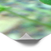 Red Clover Blossom 3 Poster (Hoek)