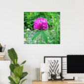 Red Clover Blossom 3 Poster (Thuiskantoor)
