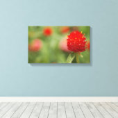 Red Clover Canvas Art Afdruk (Insitu (Houten vloer))