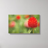 Red Clover Canvas Art Afdruk (Voorkant)
