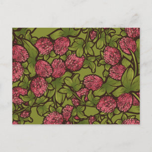 Red Clover Flower Spring Patroon Briefkaart