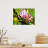 Red Clover Print (Keuken)