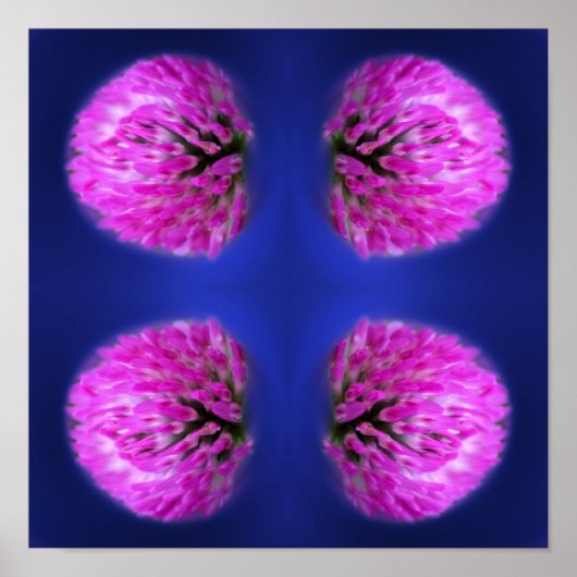 Red Clover Wildflower Abstract Poster (Voorkant)
