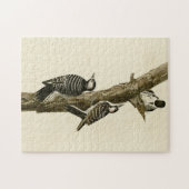 Red-Cockaded Woodpecker Audubon's Birds of America Legpuzzel (Horizontaal)